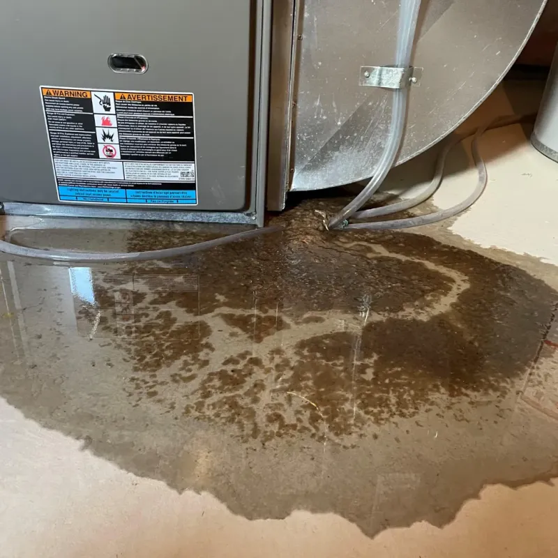 Appliance Leak Cleanup in Ashford, AL